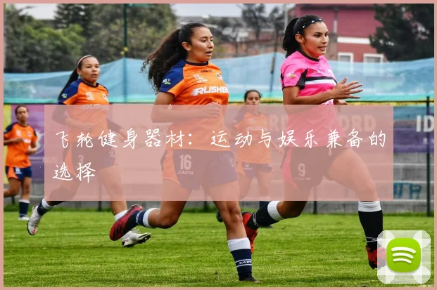 飞轮健身器材：运动与娱乐兼备的选择