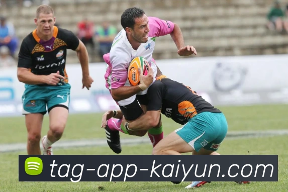 多媒体互动体验